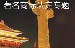 著名商标认证专题